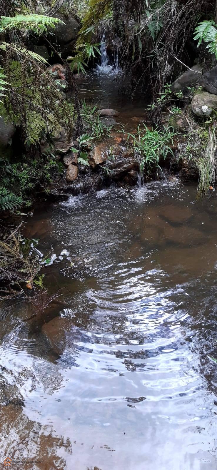 Área no Guiné, Mucugê, Bahia, chapada Diamantina, trilha pro Vale do Pati - Michael o Corretor da Chapada