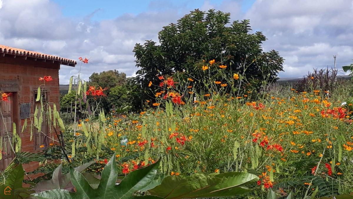 Chácara em Mucugê, 1 hectare com casa, Chapada Diamantina, acesso ao rio, pomar de frutas, área de mata, localidade dos Aleixos, vista espetacular!