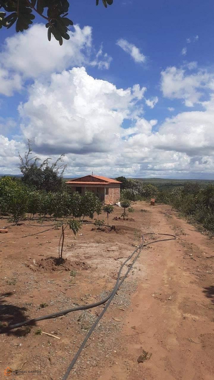 Chácara em Mucugê, 1 hectare com casa, Chapada Diamantina, acesso ao rio, pomar de frutas, localidade das Três Cancelas, vista espetacular!