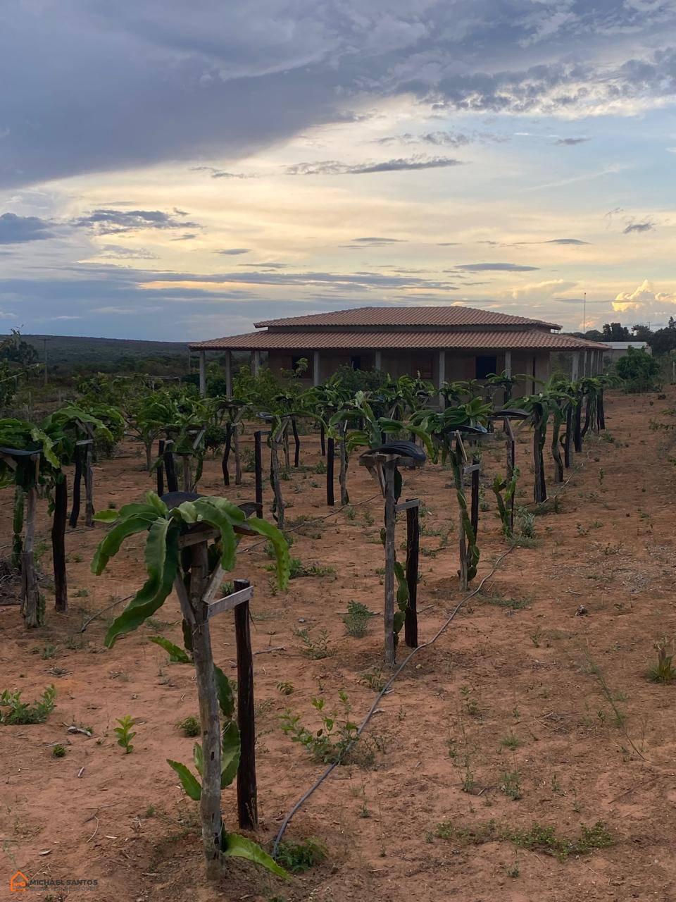 Chácara em Mucugê, Chapada Diamantina, 3 mil metros com casa, telhado de primeira, água gratuita da prefeitura, muitos pés de frutas com irrigação!