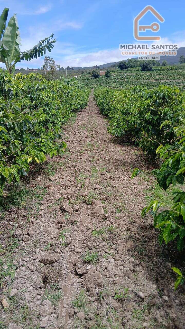 Fazenda de Café Produtiva à Venda em Ibicoara – Excelente Oportunidade de Investimento