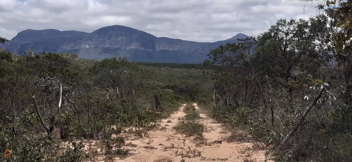 Fazenda Mucugê, 24,5 hectares, ideal para plantio, água, energia e documentos, top!