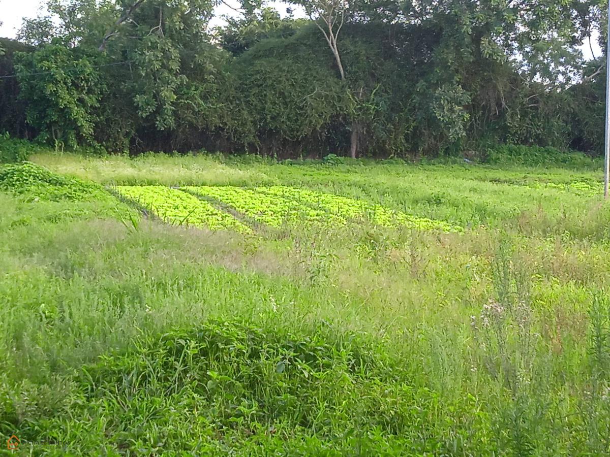 Terreno 200m2, Lagoa da Flores, Vitória da Conquista, repasse, oportunidade!!!!
